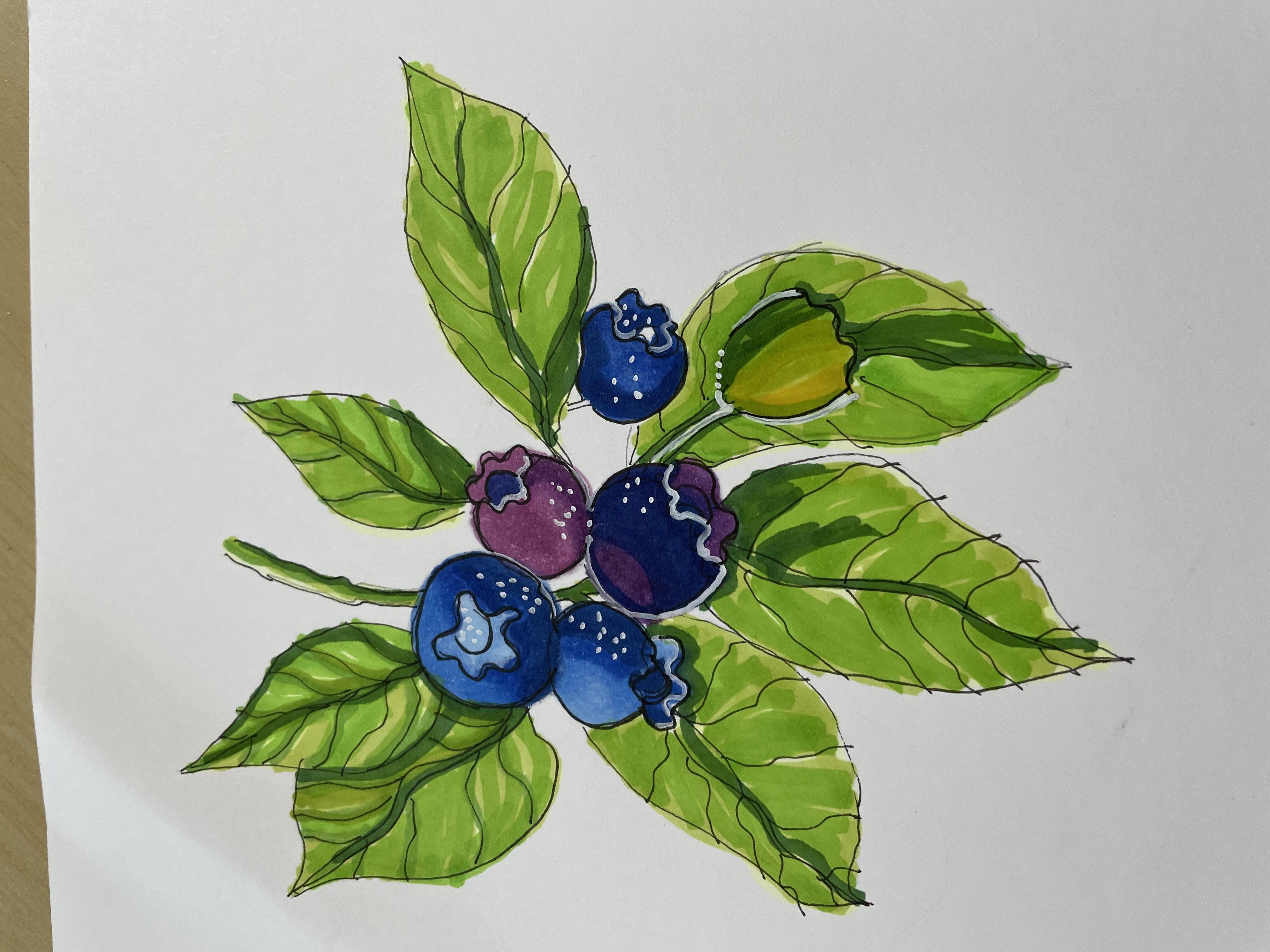 more-projects-from-class-img