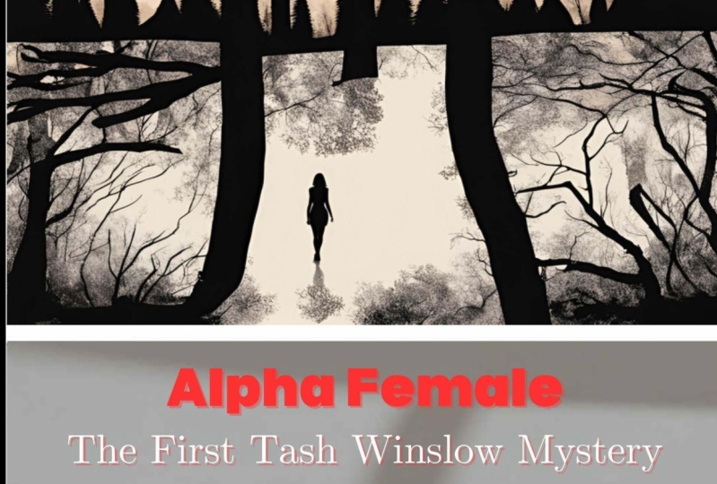 Tash Winslow, Protagonist