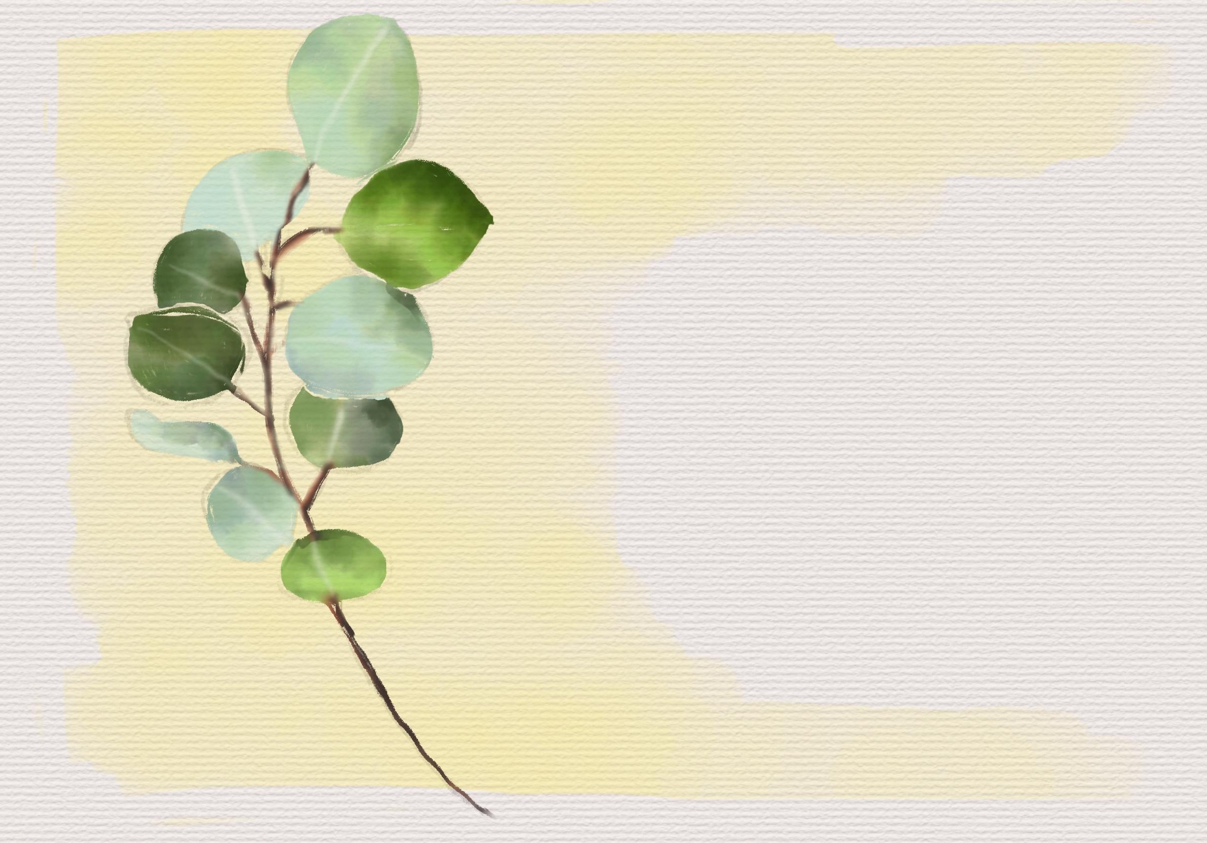 Leaves - student project