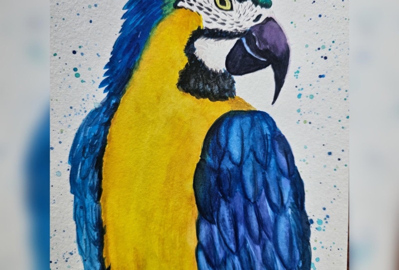 parrot