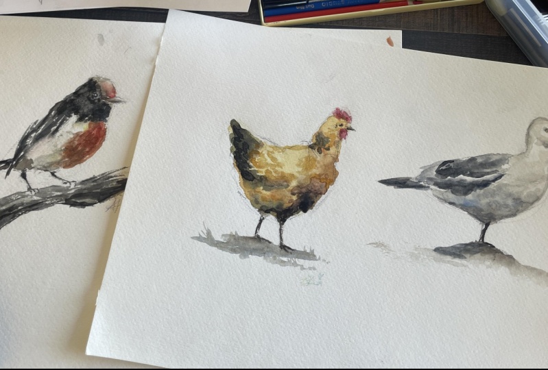 Watercolor Birds