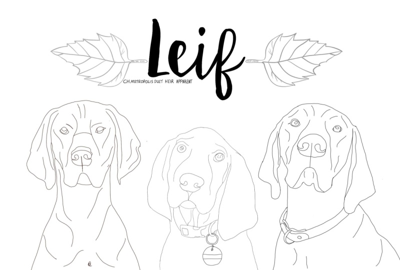 leif ~ one line drawing