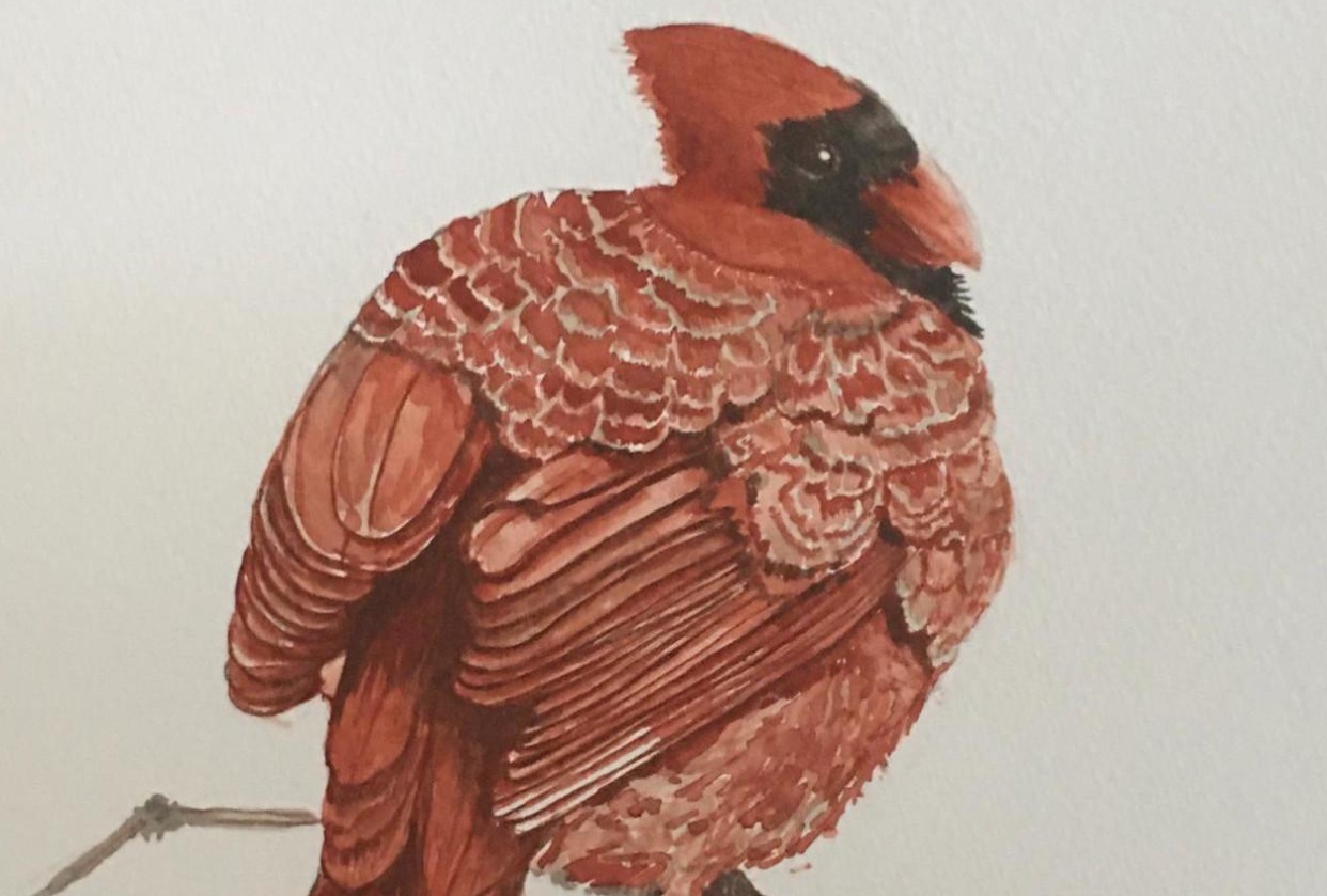 three birds - student project
