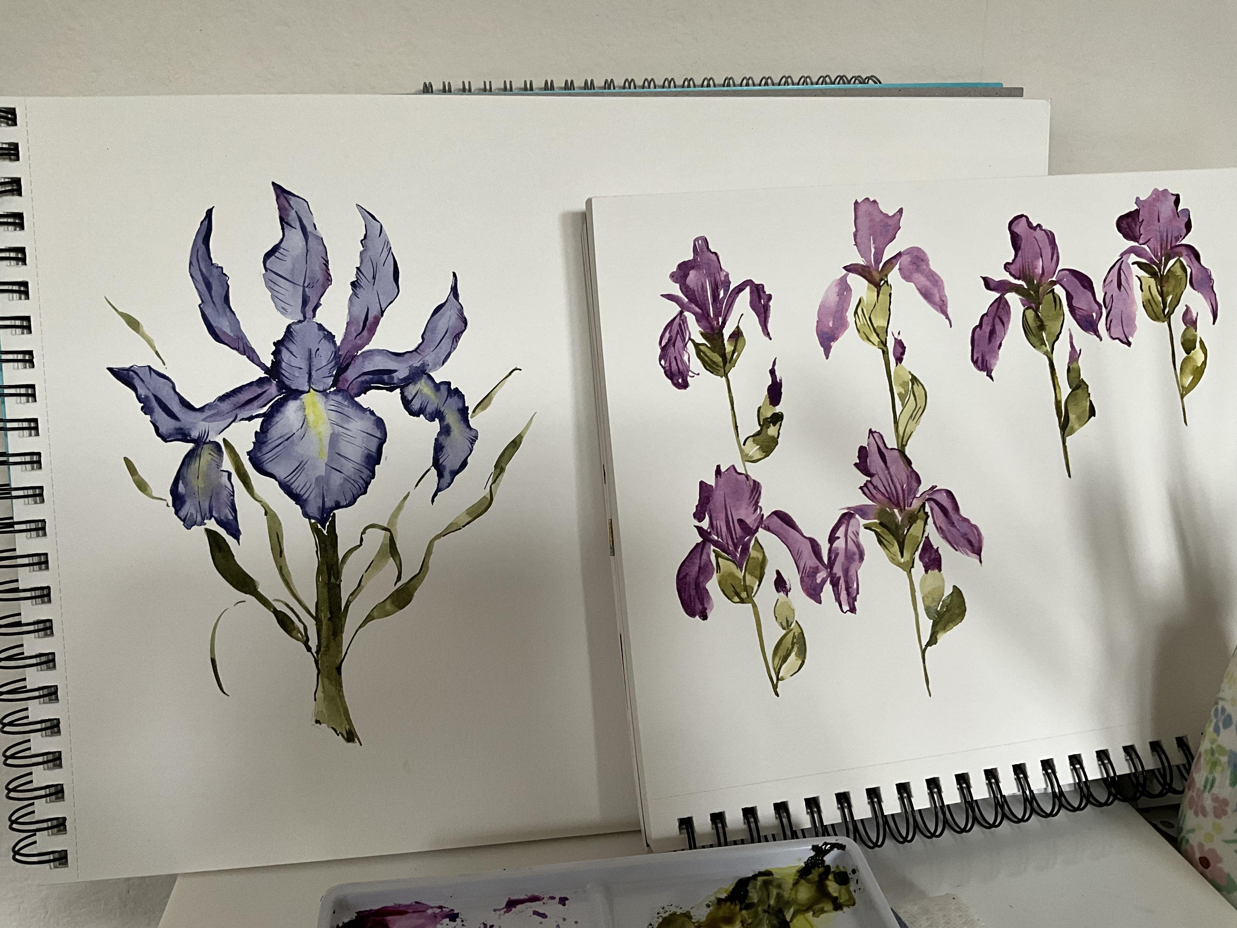 more-projects-from-class-img