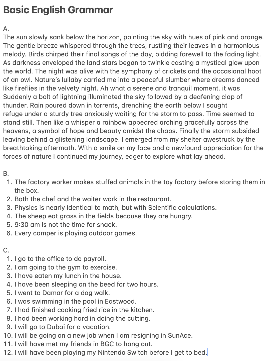 Basic English Grammar - student project
