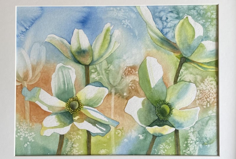 Anemones in watercolour