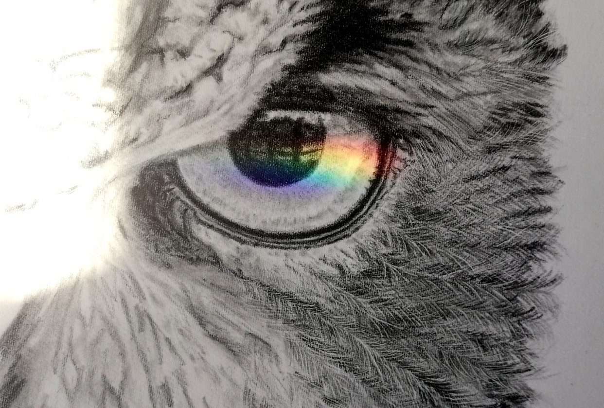 Glossy Gaze - student project