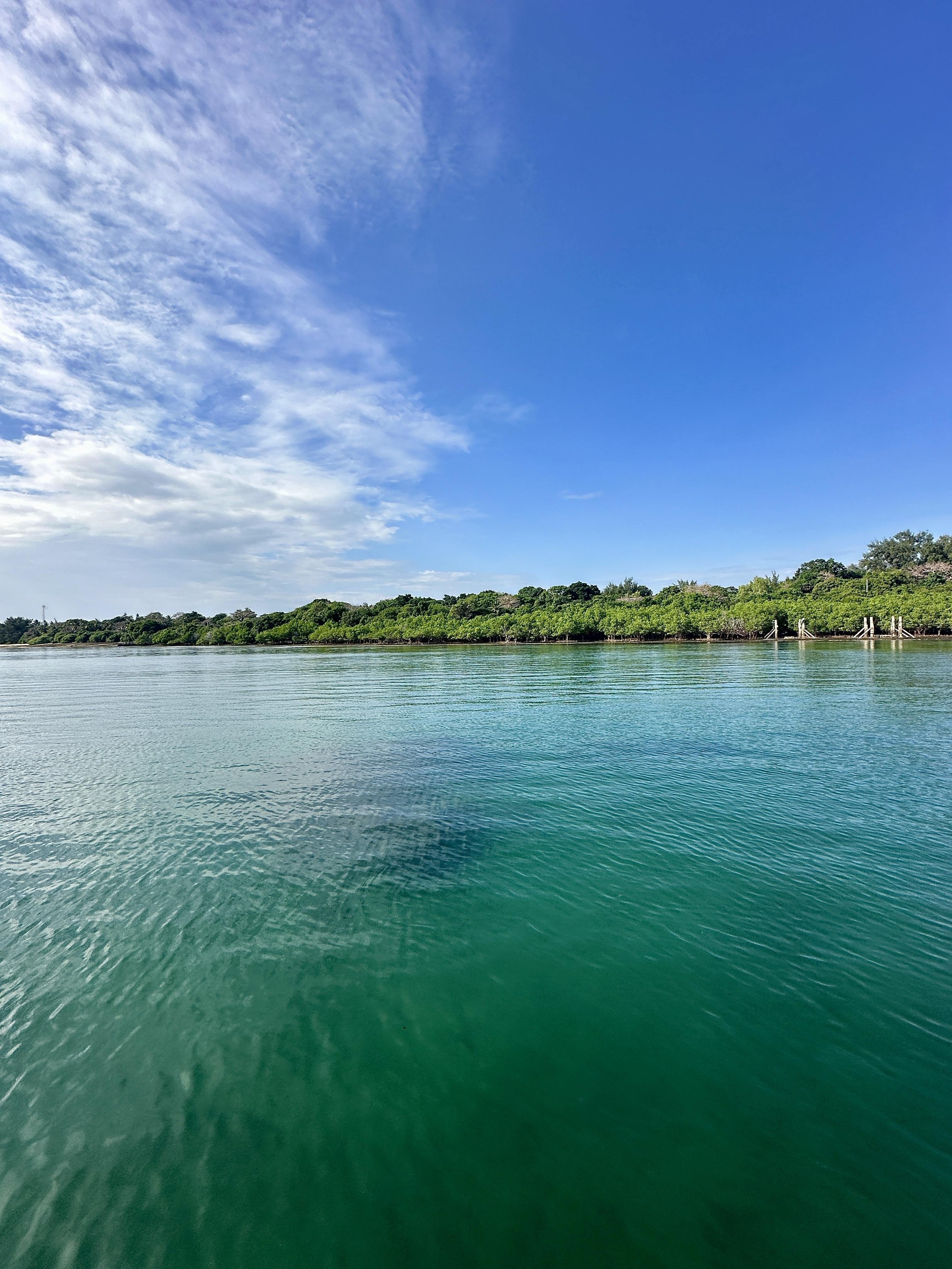 Wasini Island