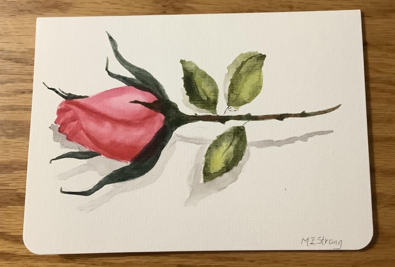 A single bloom