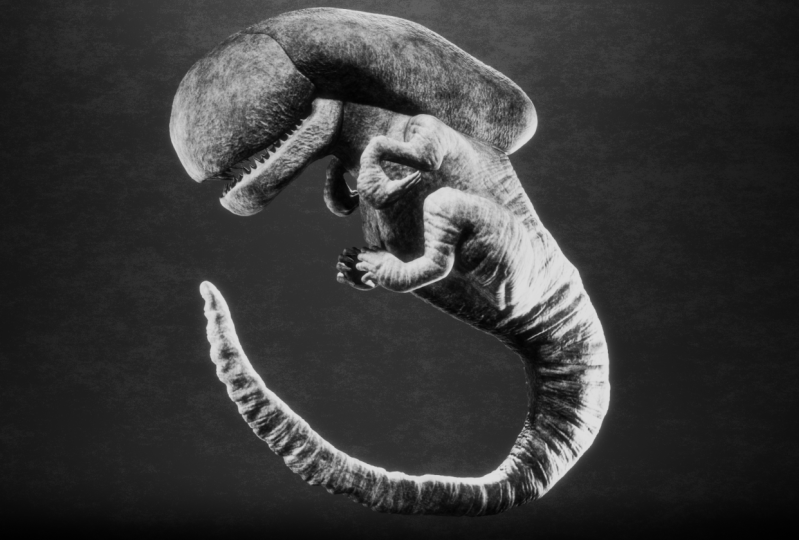 Xenomorph Embryo