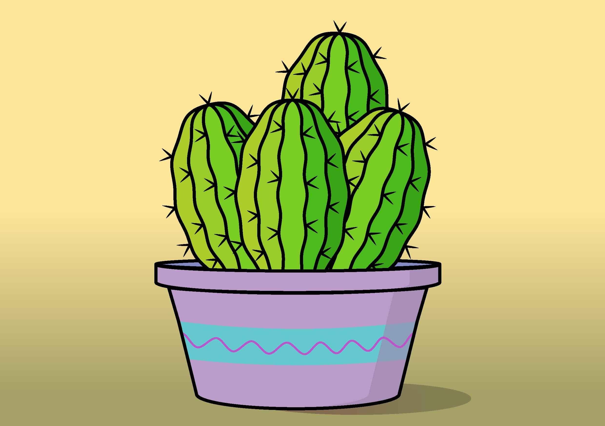 Cactus vector - student project