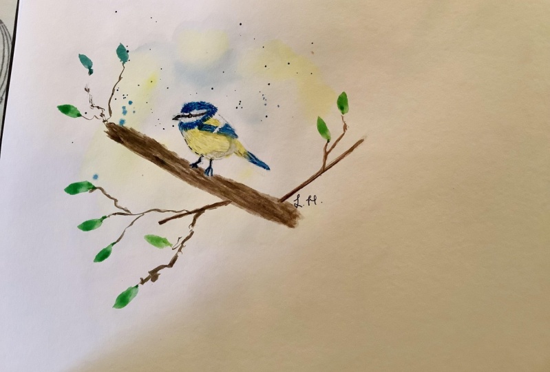 Bluetit kerry sanders