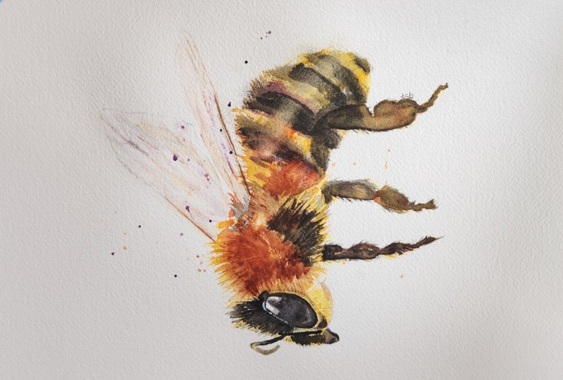 Bee, class by Will Elliston