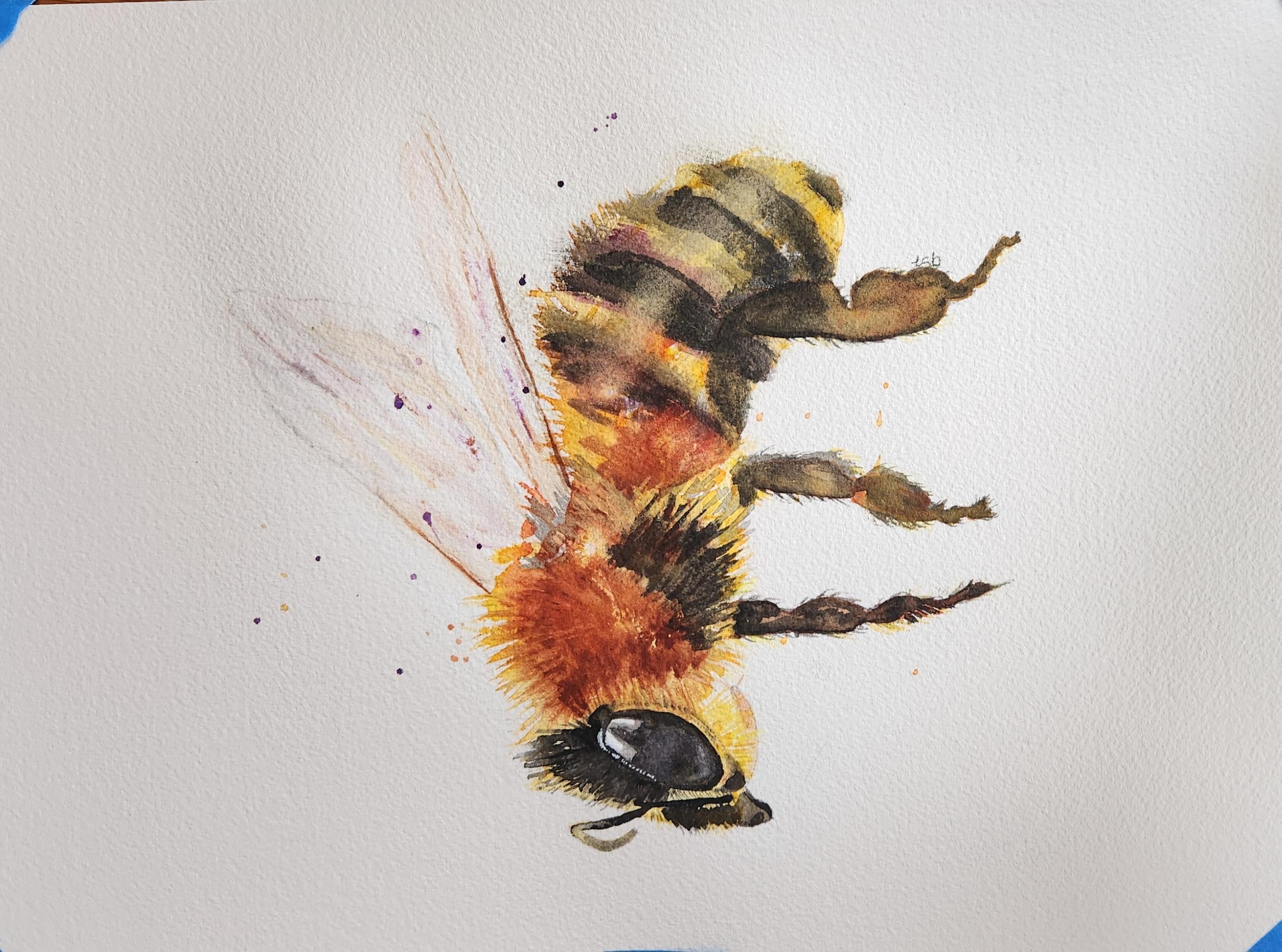Bee, class by Will Elliston - student project
