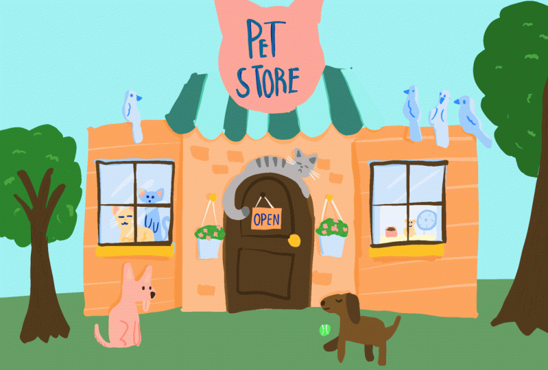 Pet Store