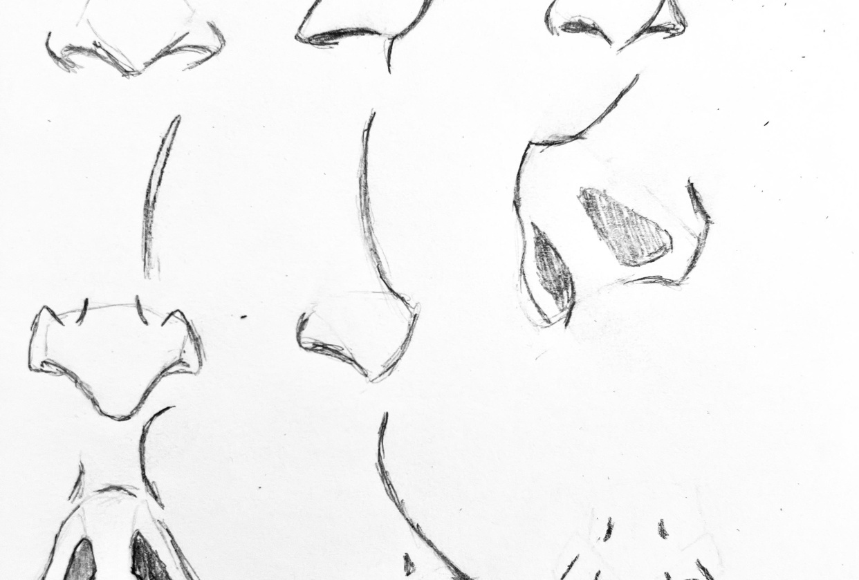 Noses - student project