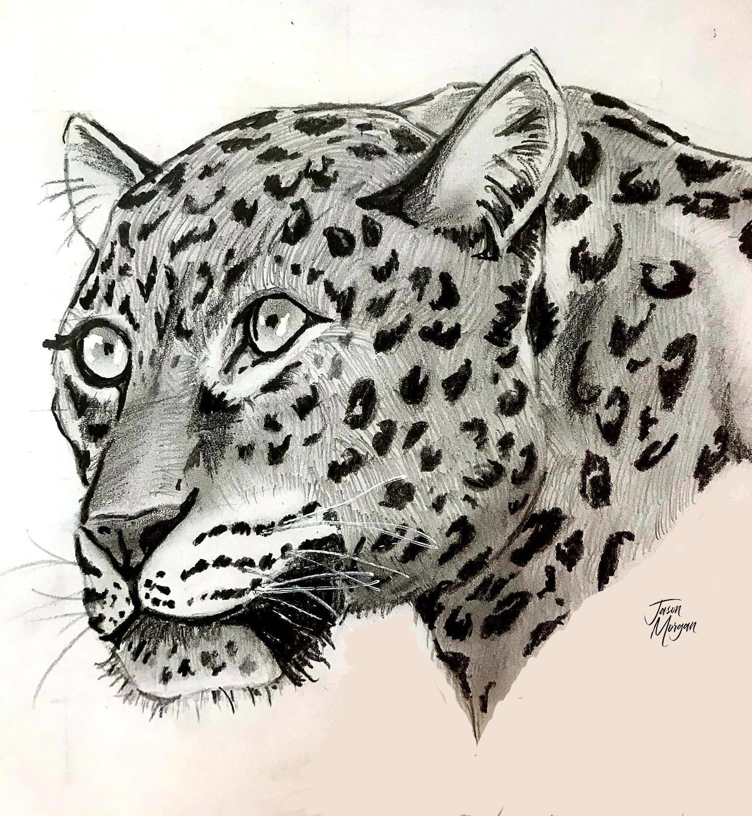 more-projects-from-class-img