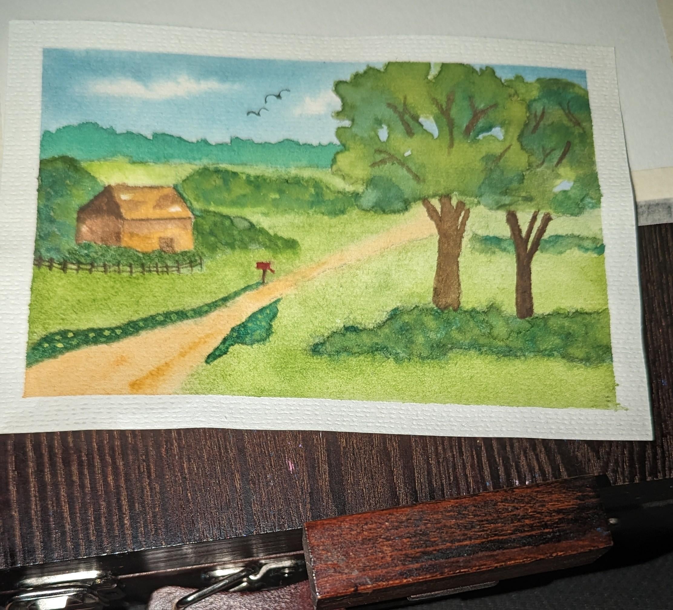 Project one for beginners landscape course - student project