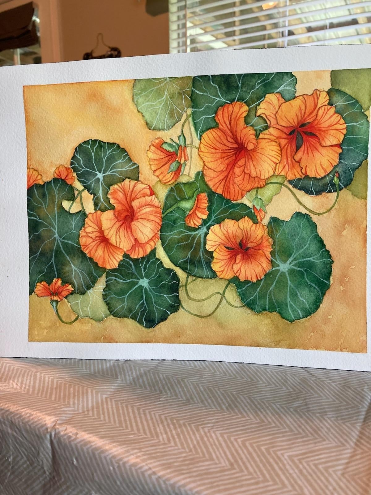 Chris' Nasturtiums - student project
