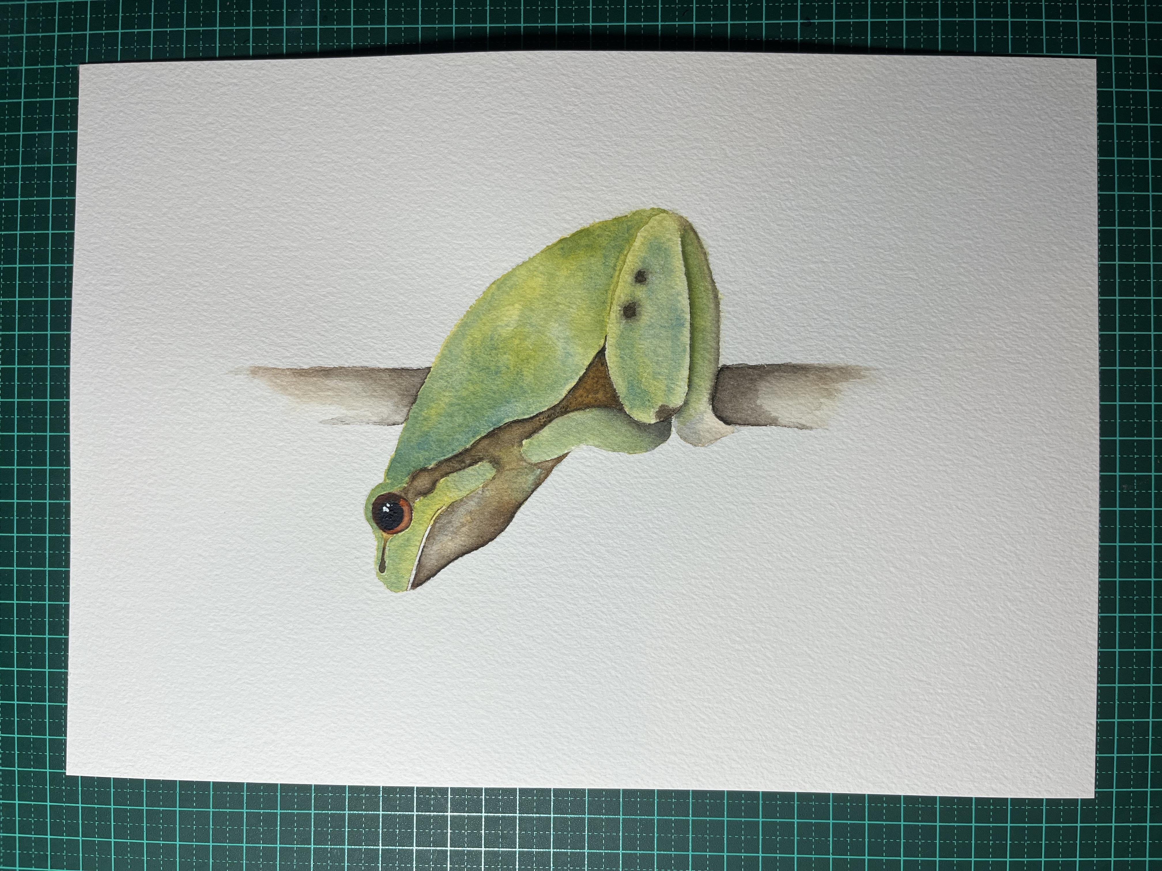 Frog - student project
