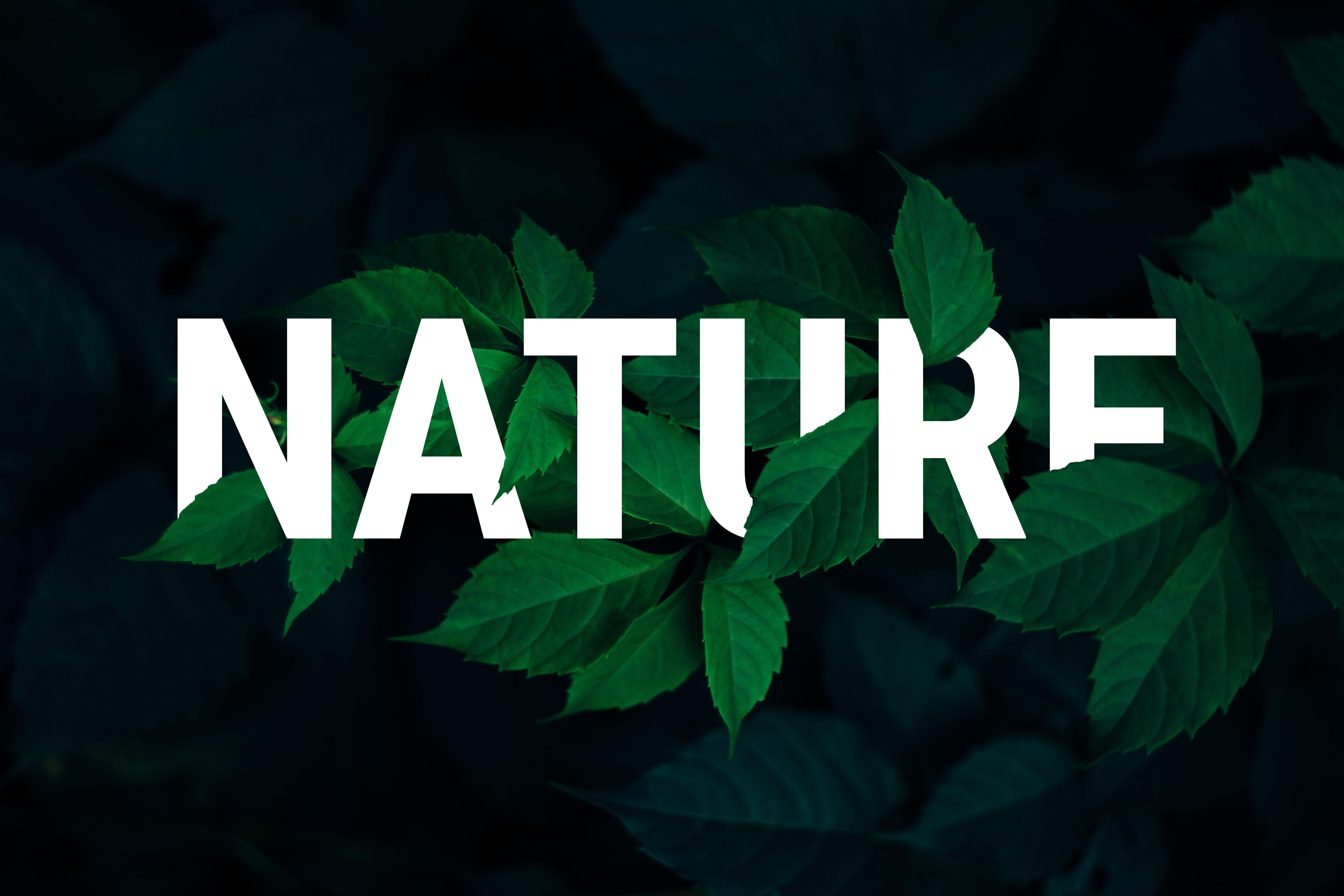 Nature - student project
