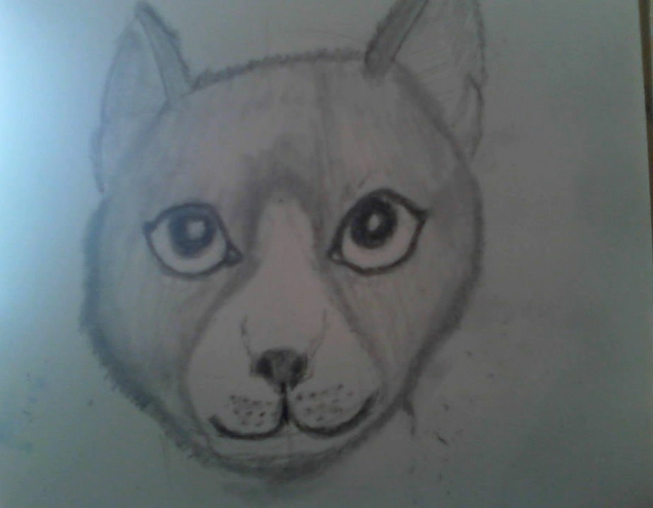 more-projects-from-class-img