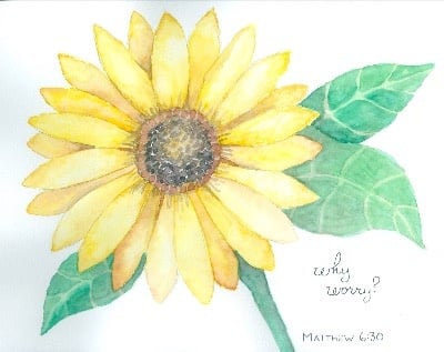Sunflower - student project