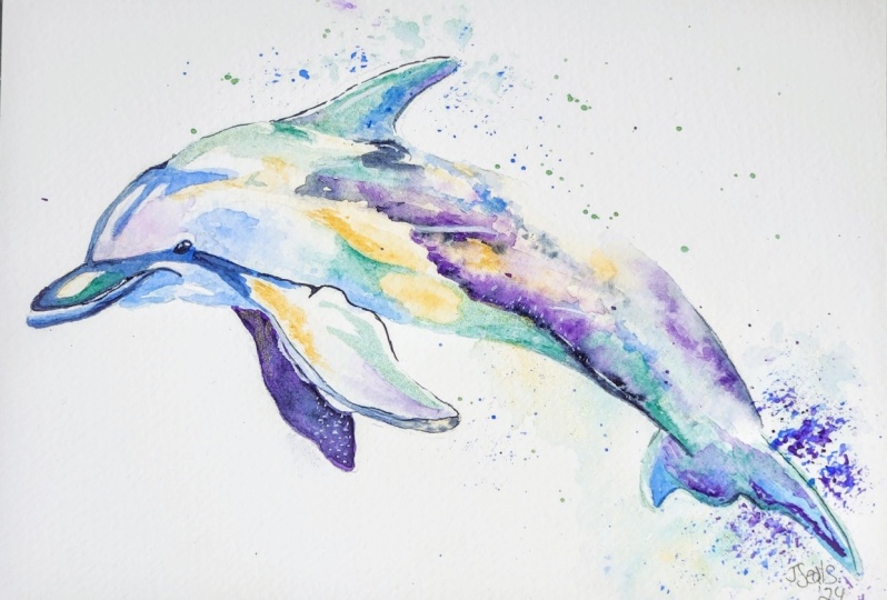 Dolphins are everyone's spirit animal