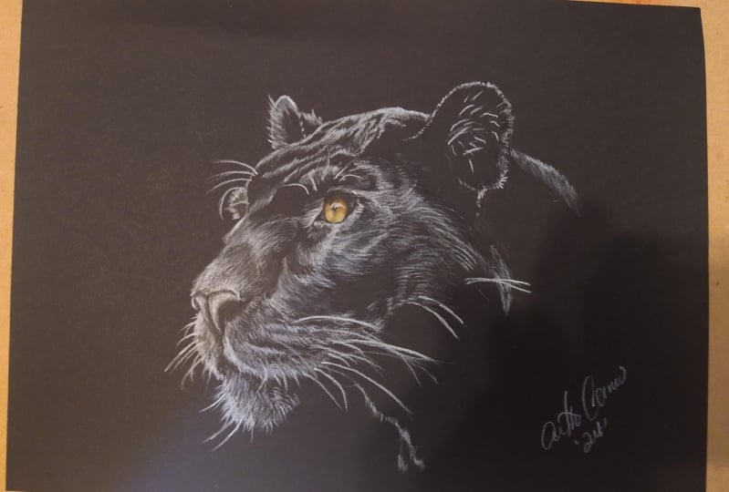 Panther