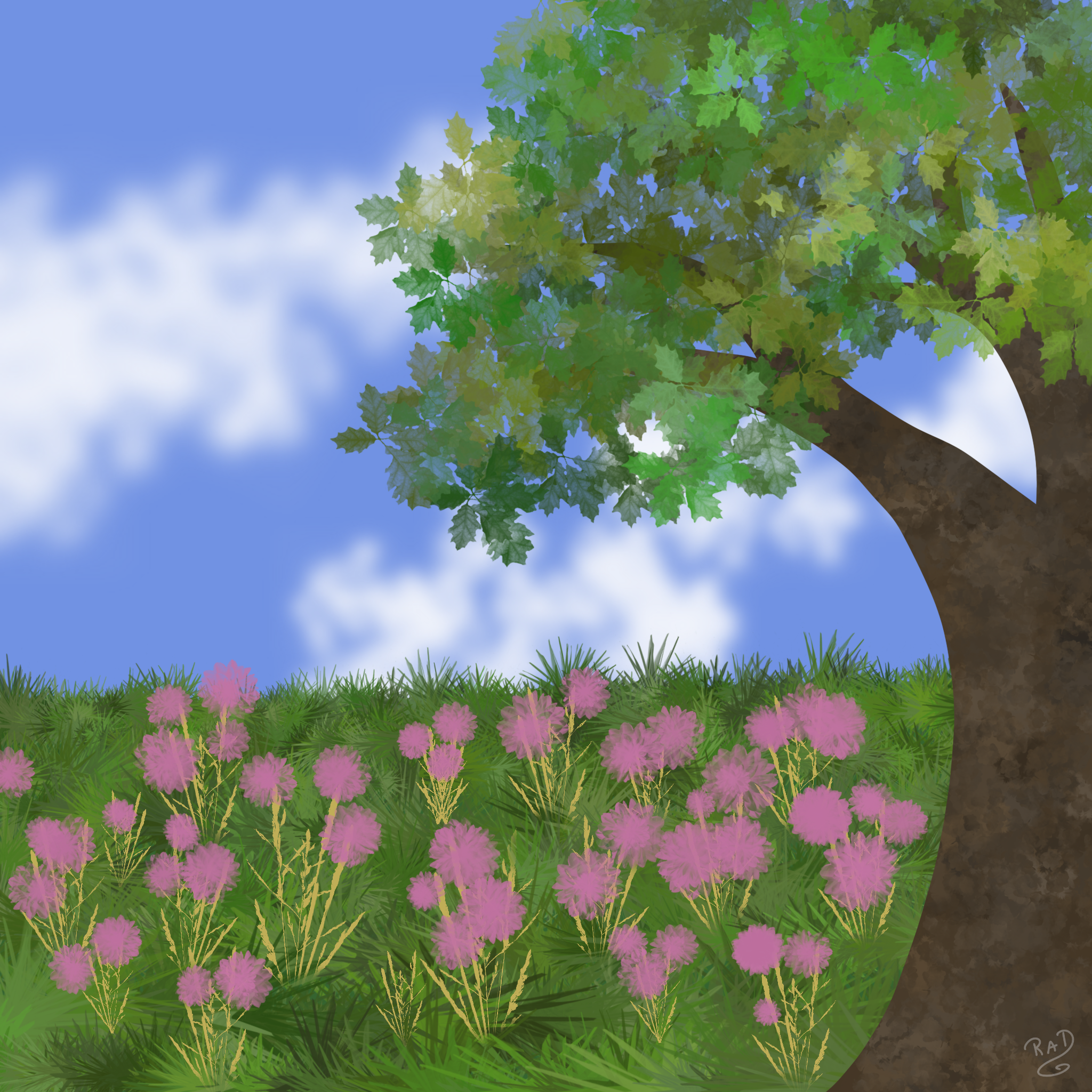 more-projects-from-class-img