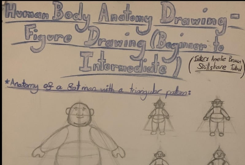 Learning basic Anatomy as a beginner!