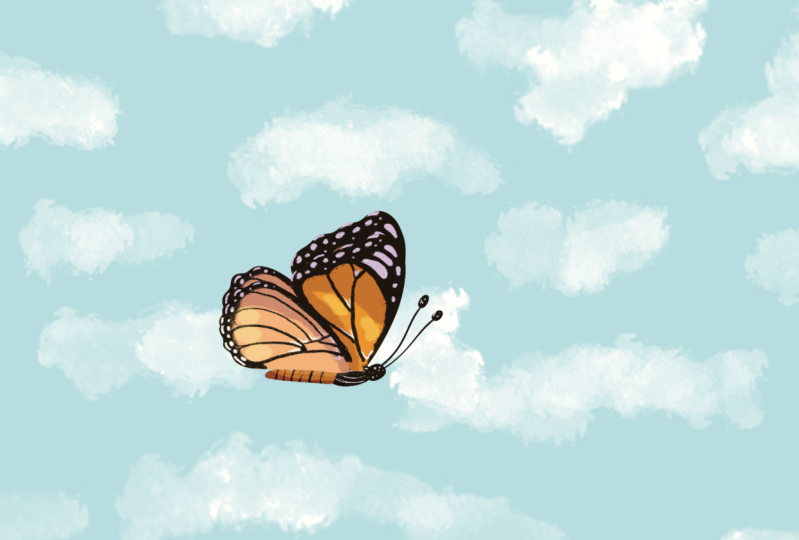 First animation