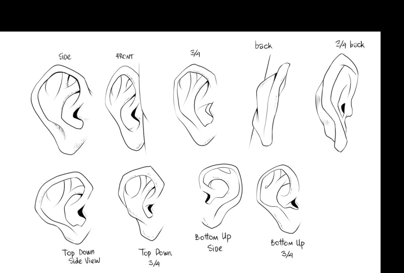 Ears