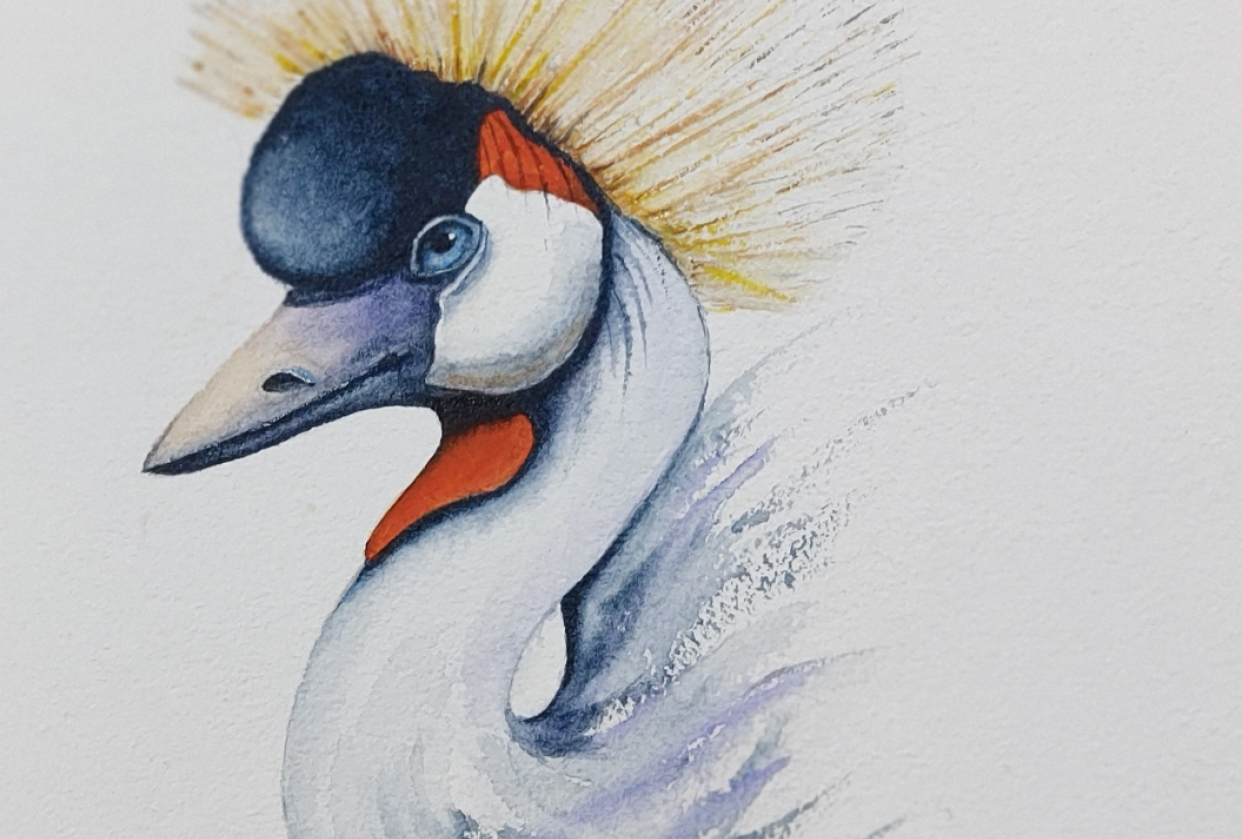 Grey Crowned Crane - a watercolour class by Nadine Dudek - student project