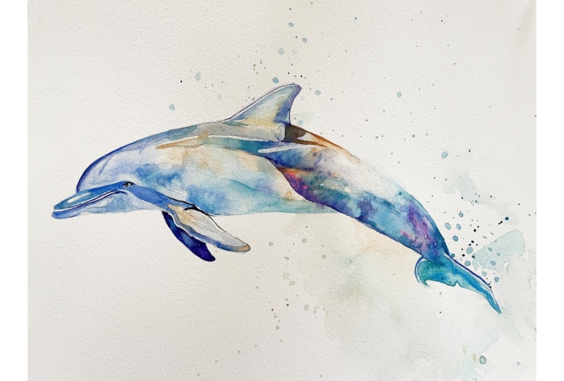 Dolphin