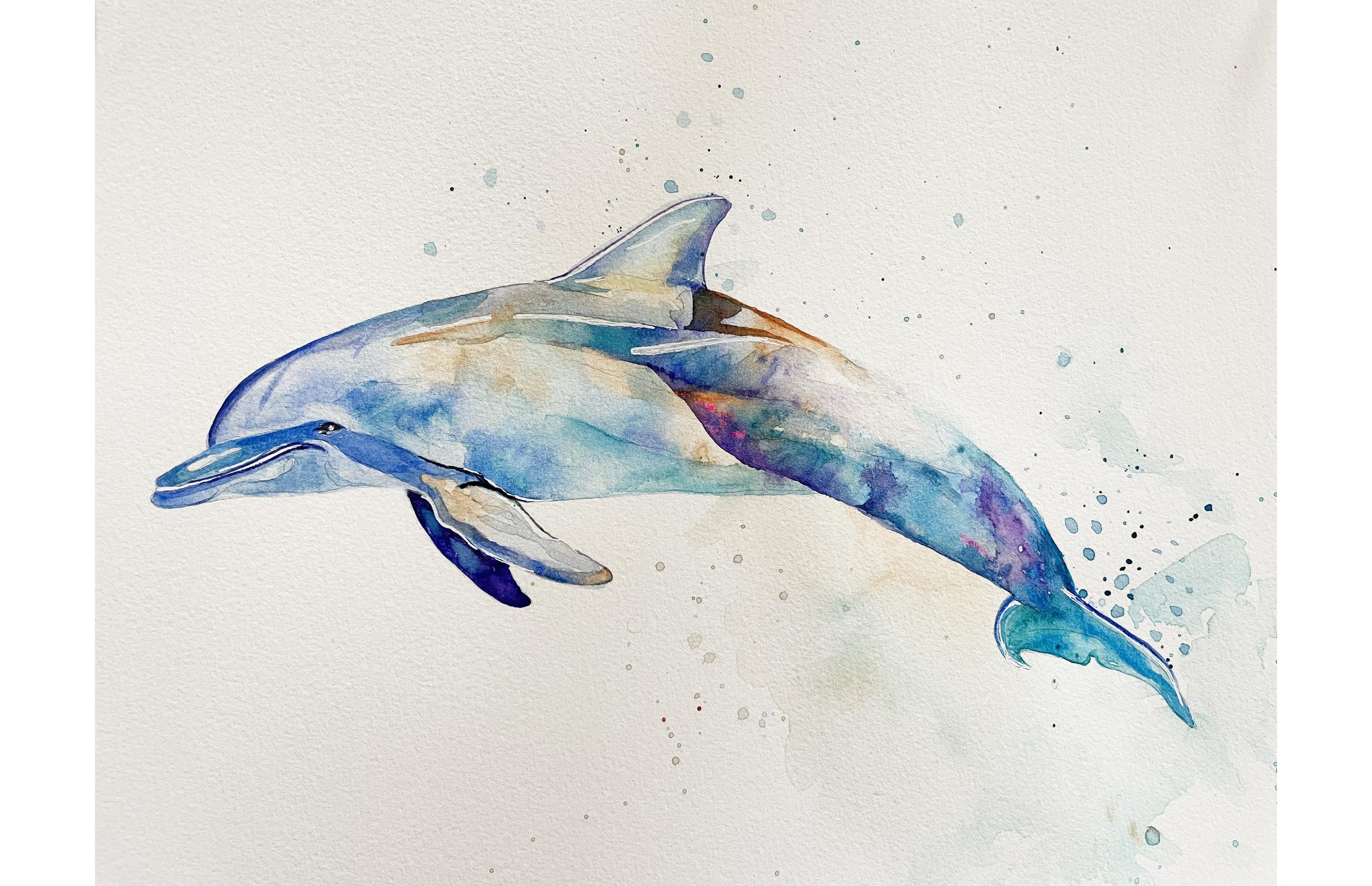 Dolphin - student project