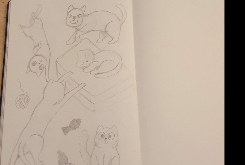 My Cats