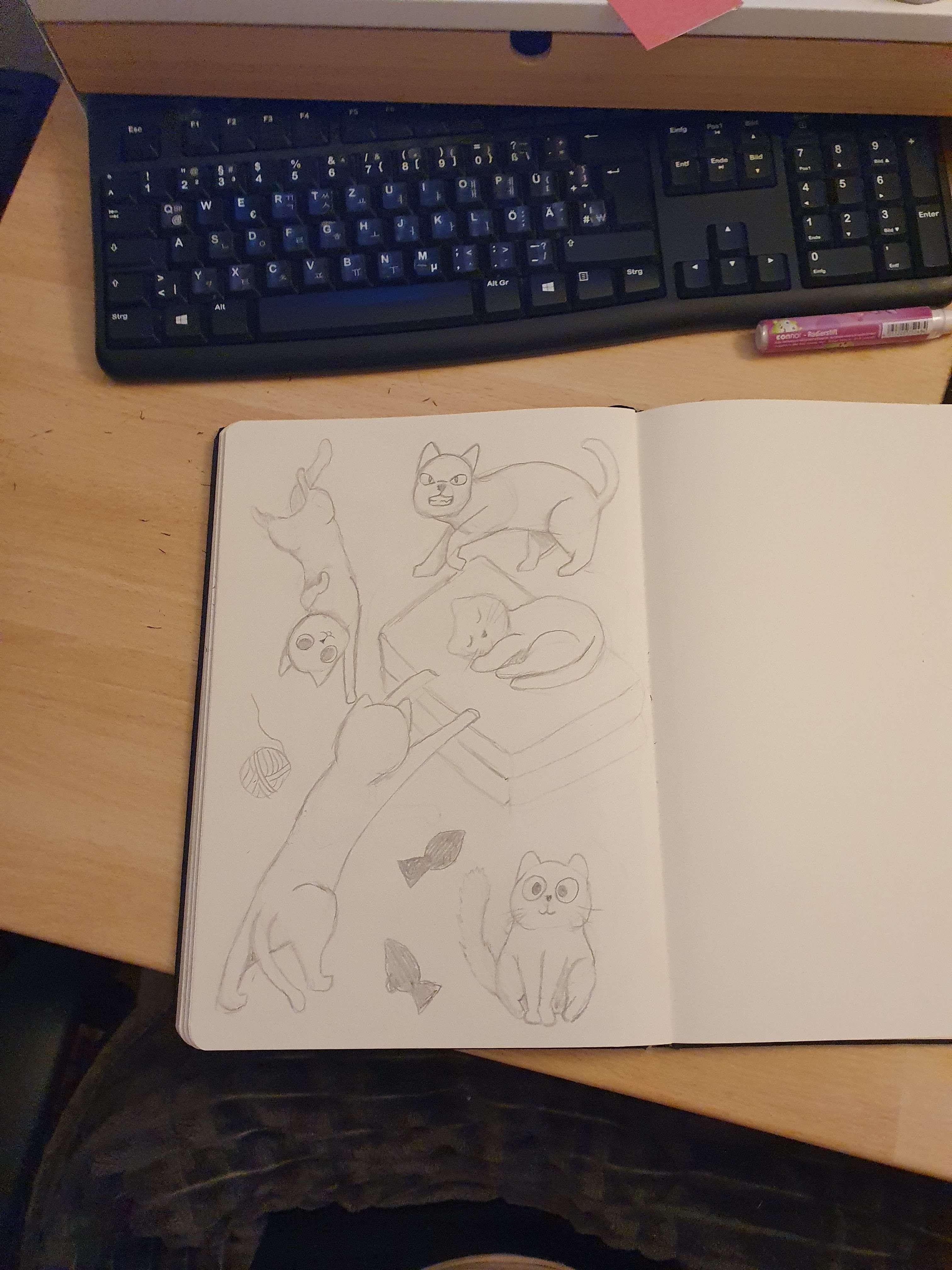 more-projects-from-class-img