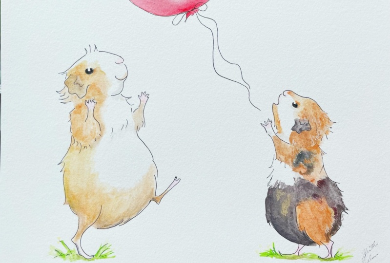 Illustrating Guinea pigs