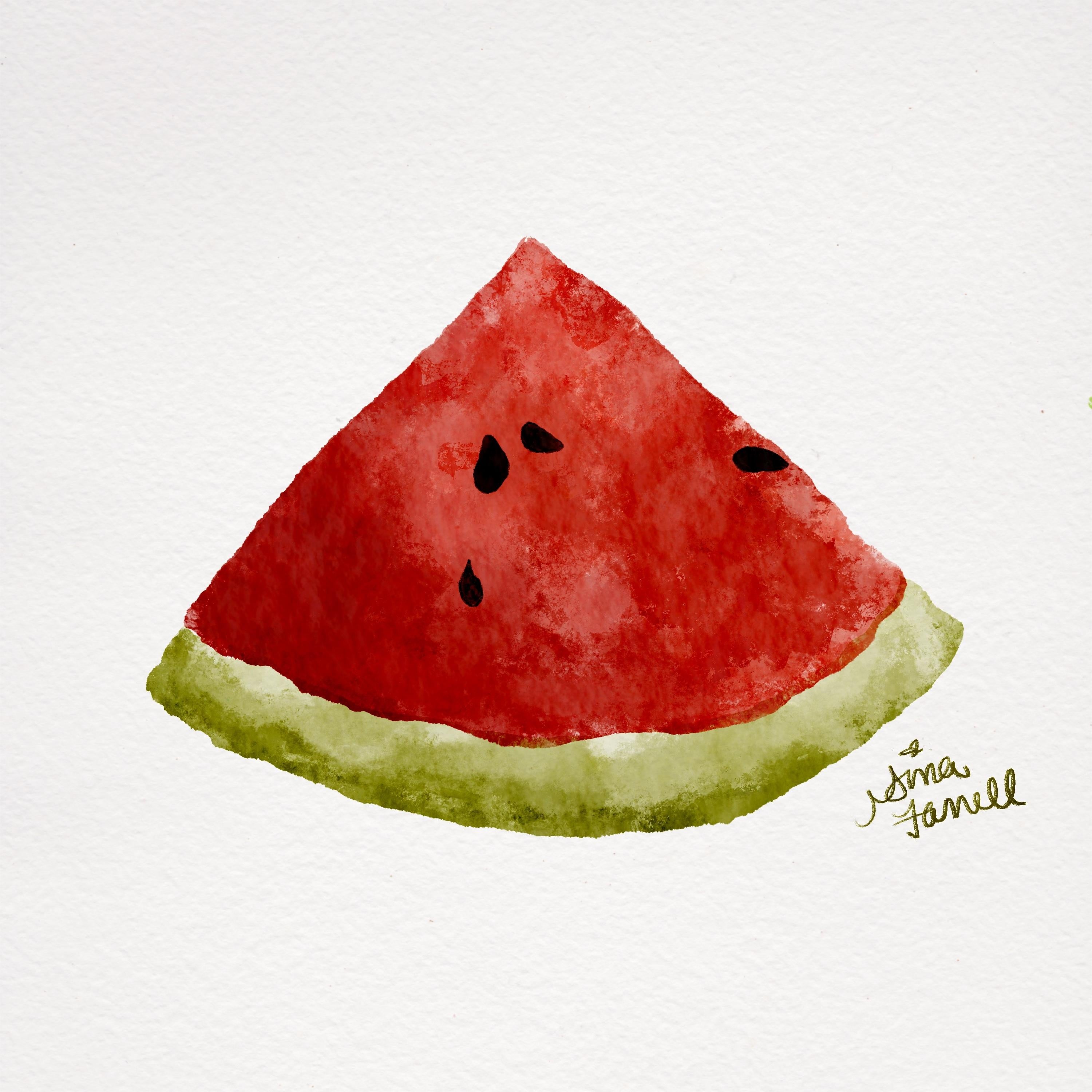 Watermelon - student project
