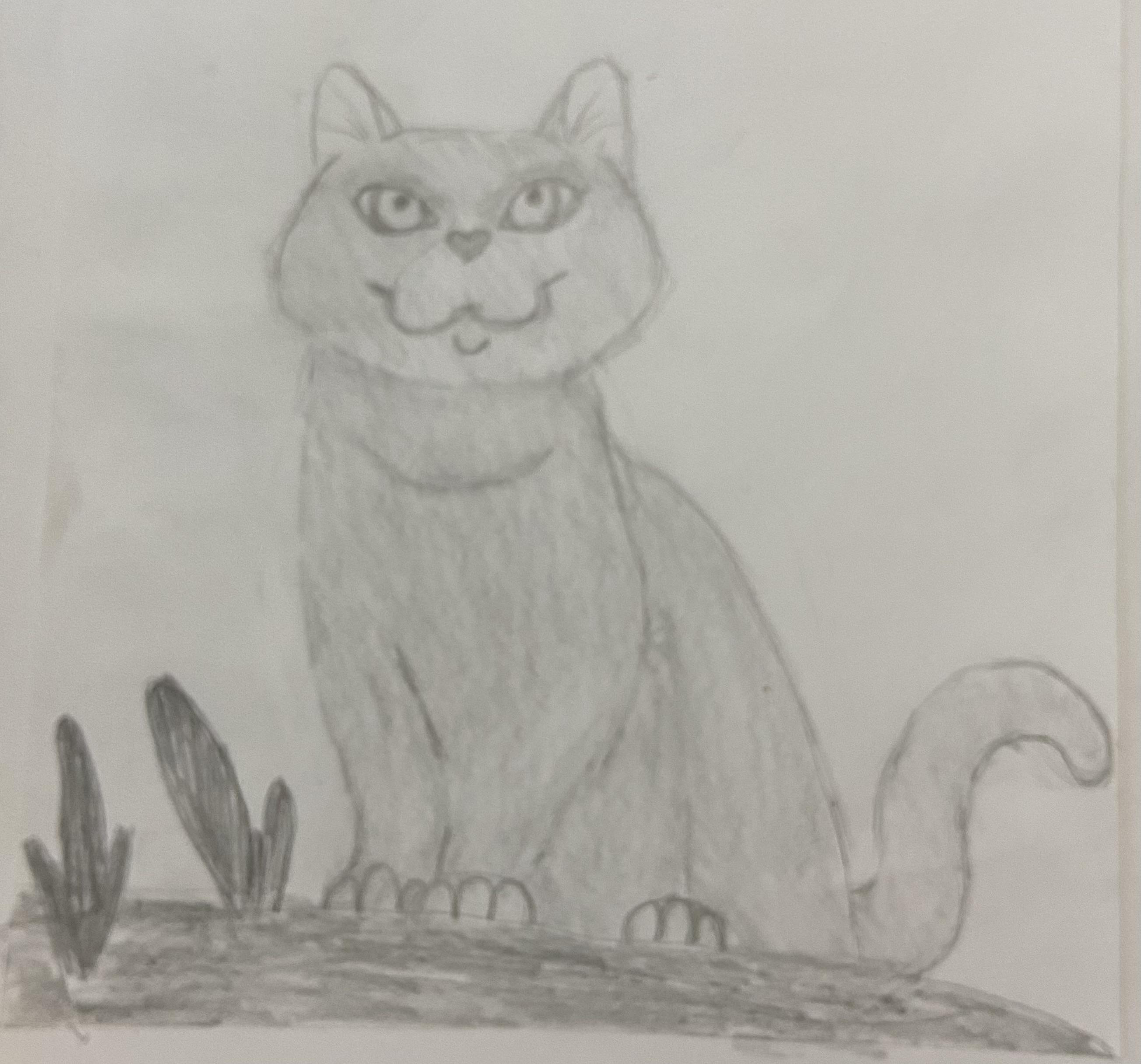 more-projects-from-class-img