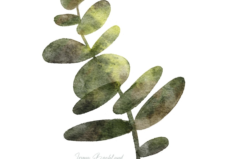 Extracting watercolor art in Procreate