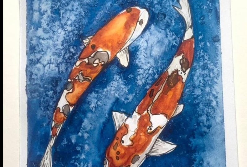 Fish