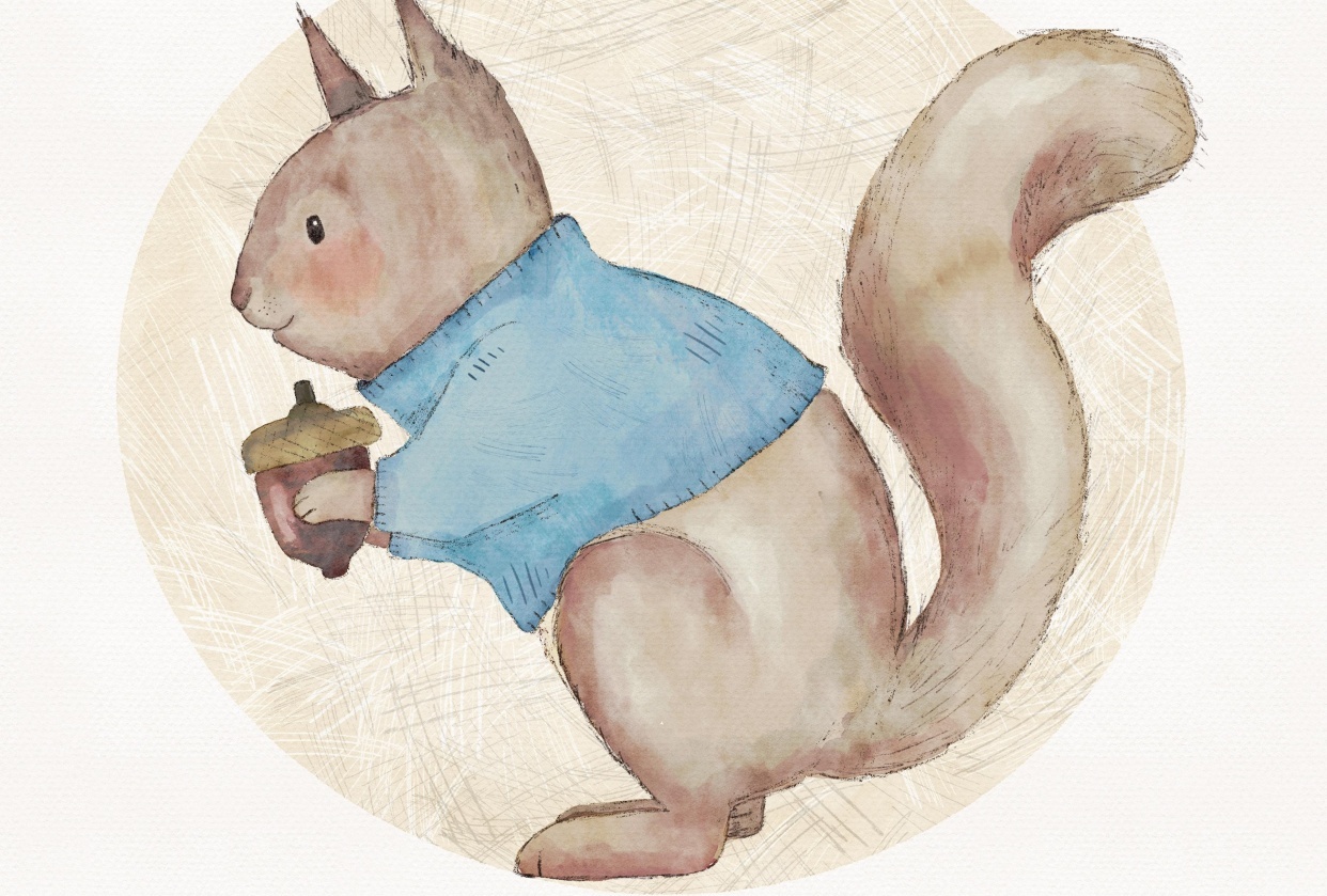 Illustrated squirrel - student project