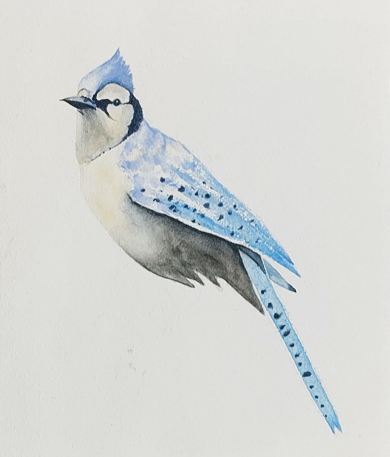 Blue Jay - watercolour project by Nadine Dudek