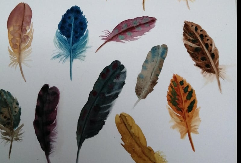 Plumes