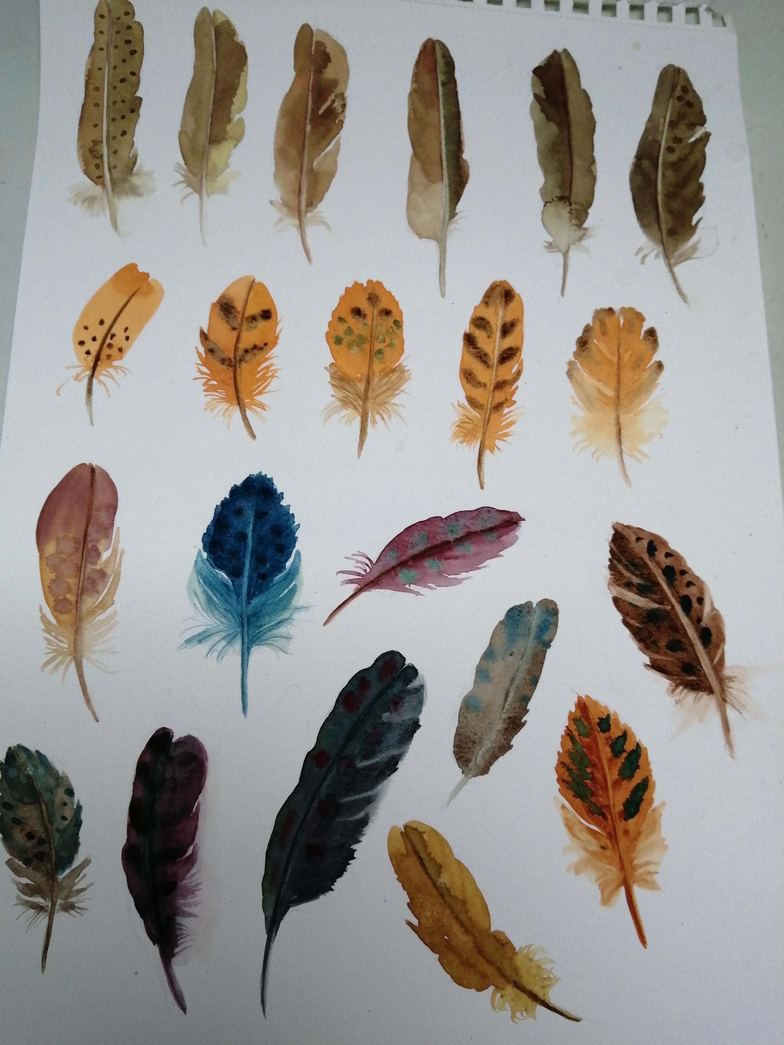 more-projects-from-class-img