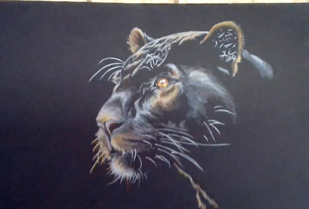 Panther with color - student project