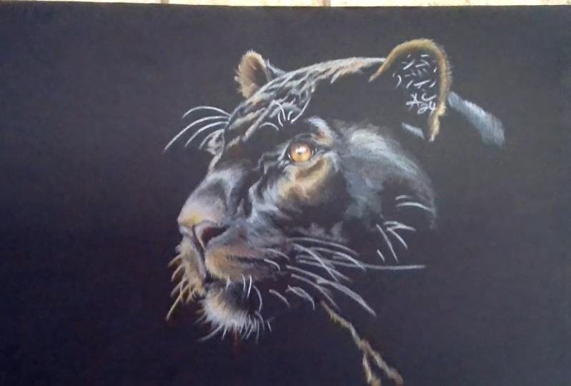 Panther with color
