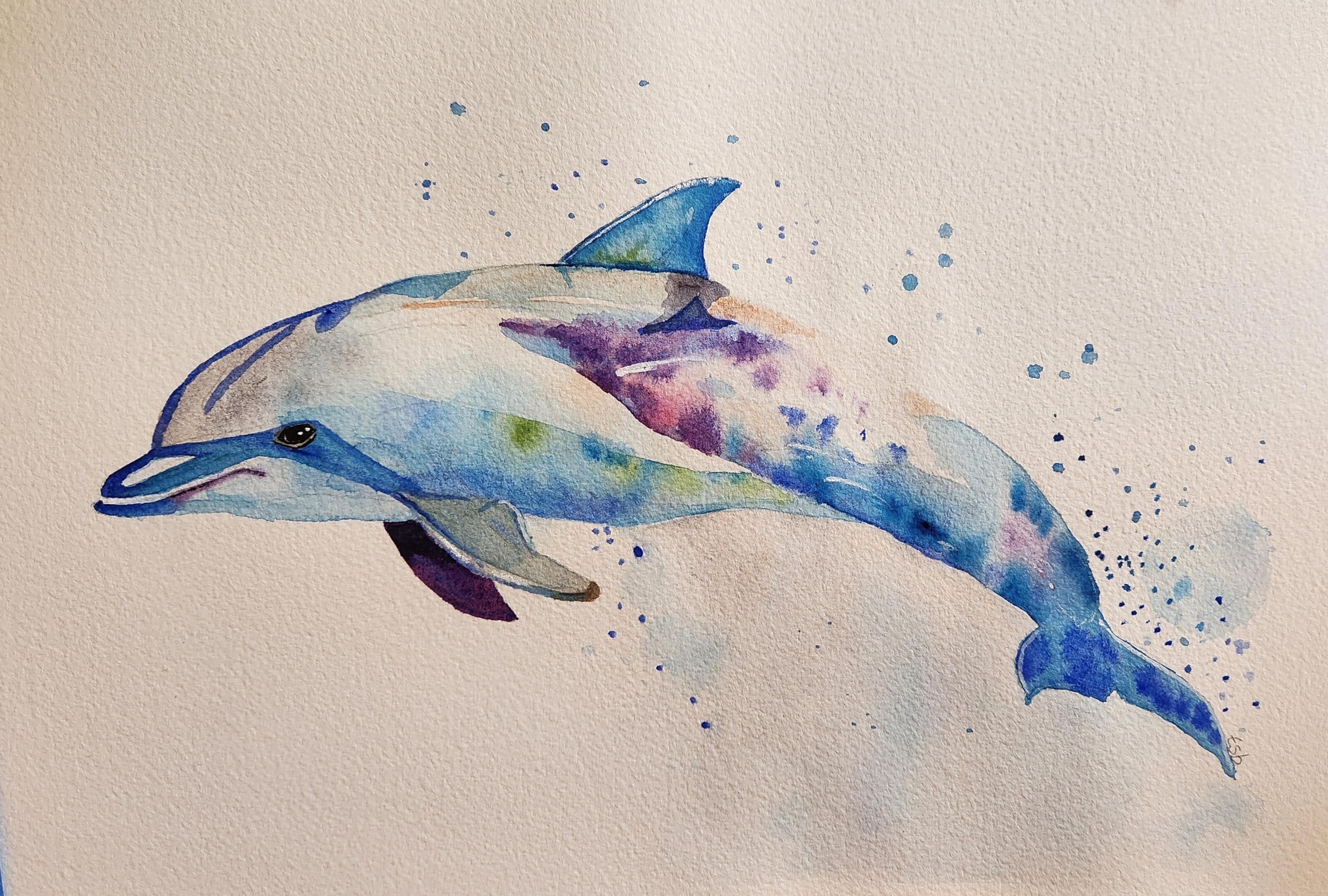 Dolphins with Will Elliston - student project